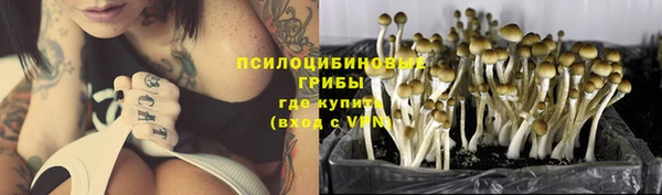 ешки Надым
