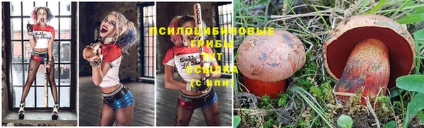 ешки Надым