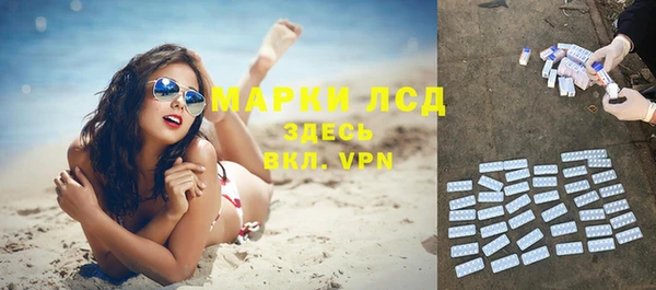 apvp Билибино
