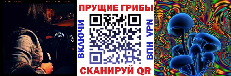 дарнет шоп  маркетплейс состав  Псилоцибиновые грибы MAGIC MUSHROOMS  Тырныауз 